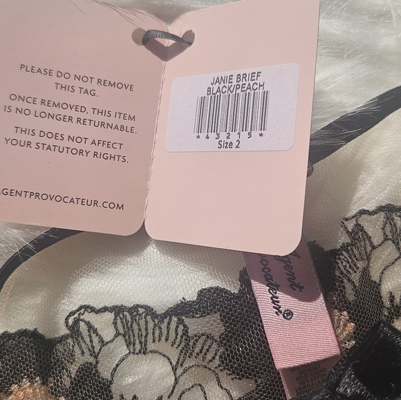 Agent Provocateur Janie Brief - Picture 14 of 15